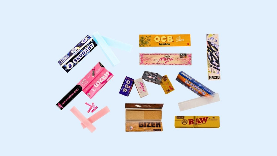 beste papers longpapers king size slim im vergleich